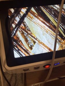 Japanese Head Spa scalp before/after